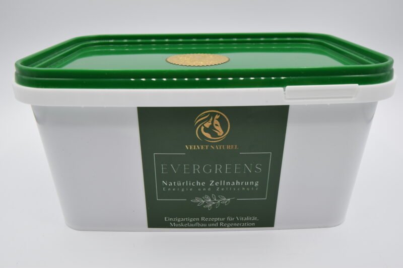Evergreens – Natürliche Zellnahrung für dein Pferd