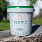 Evergreens – Natürliche Zellnahrung für dein Pferd