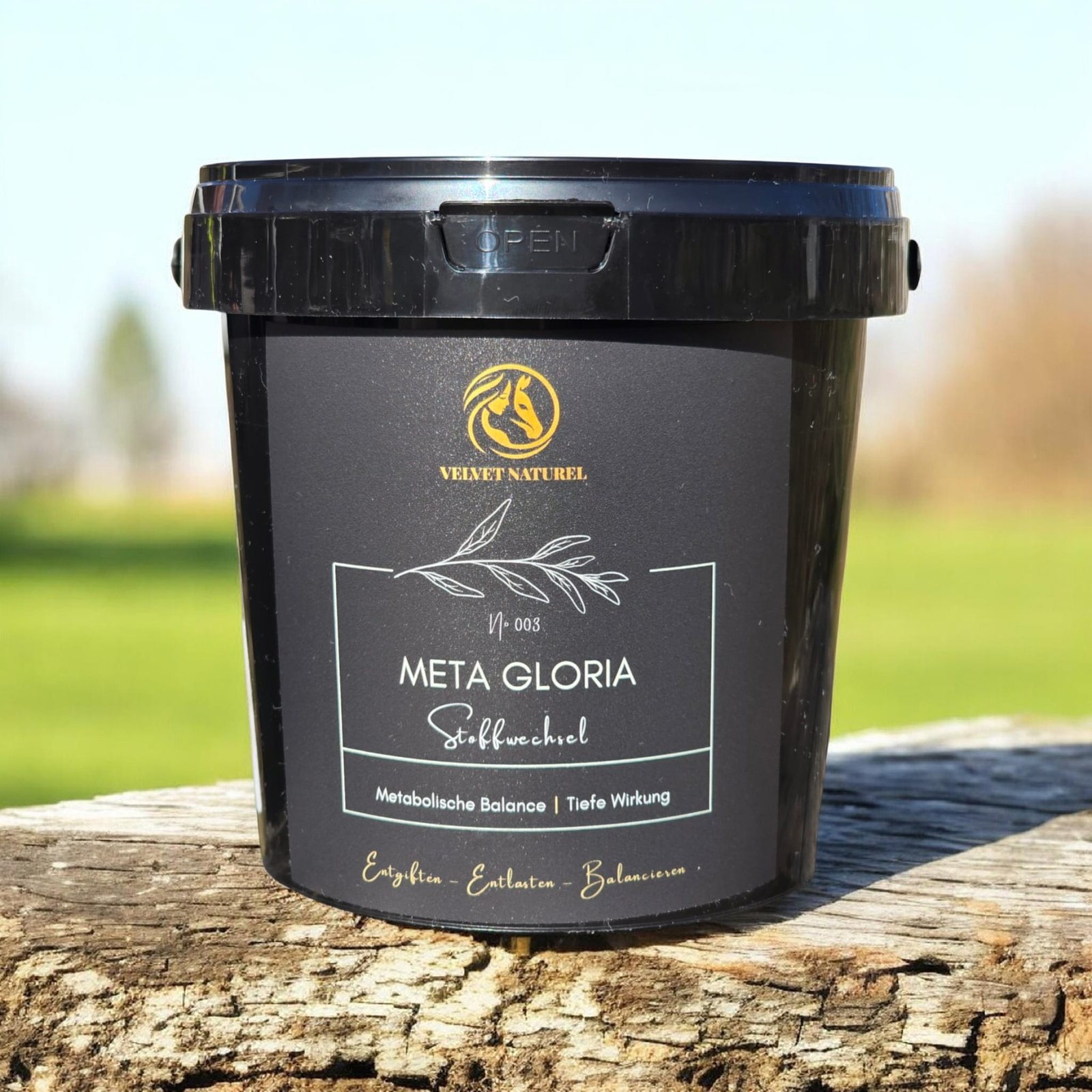 Meta Gloria – 7 Pflanzenkräfte für Stoffwechsel & innere Reinigung