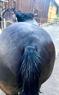 bottom