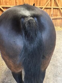 bottom_nachher