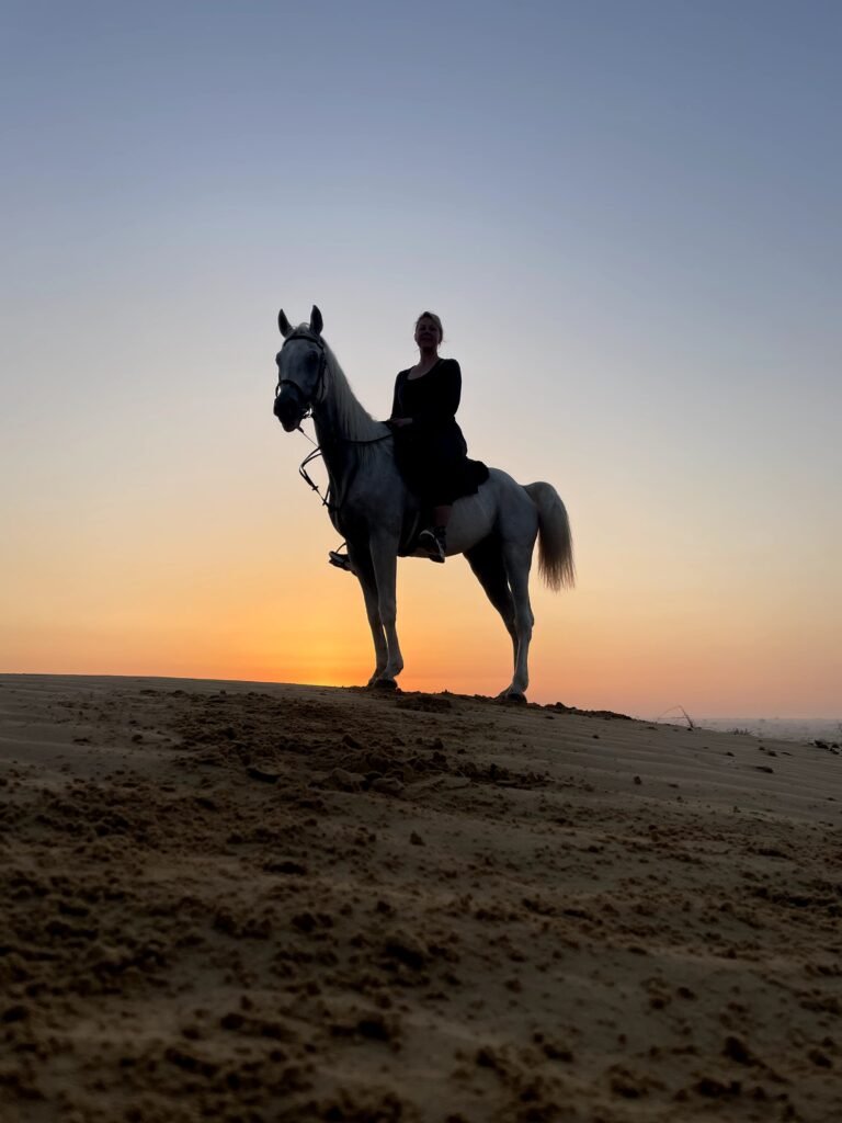 dubai_kingkong