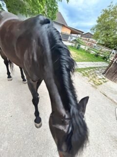 nachher