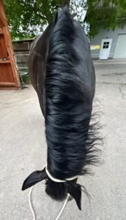 nachher_1