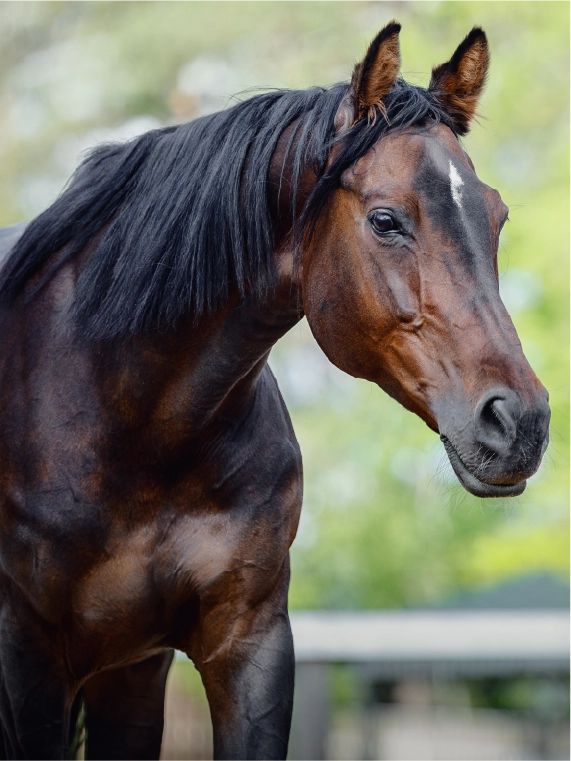 Stoffwechsel - Detox